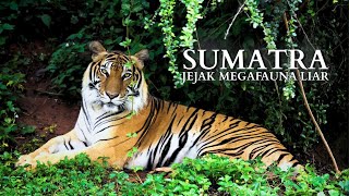 Sumatra's Forests: The Ancient Heart of the Archipelago | Southeast Asia's Last Megafauna