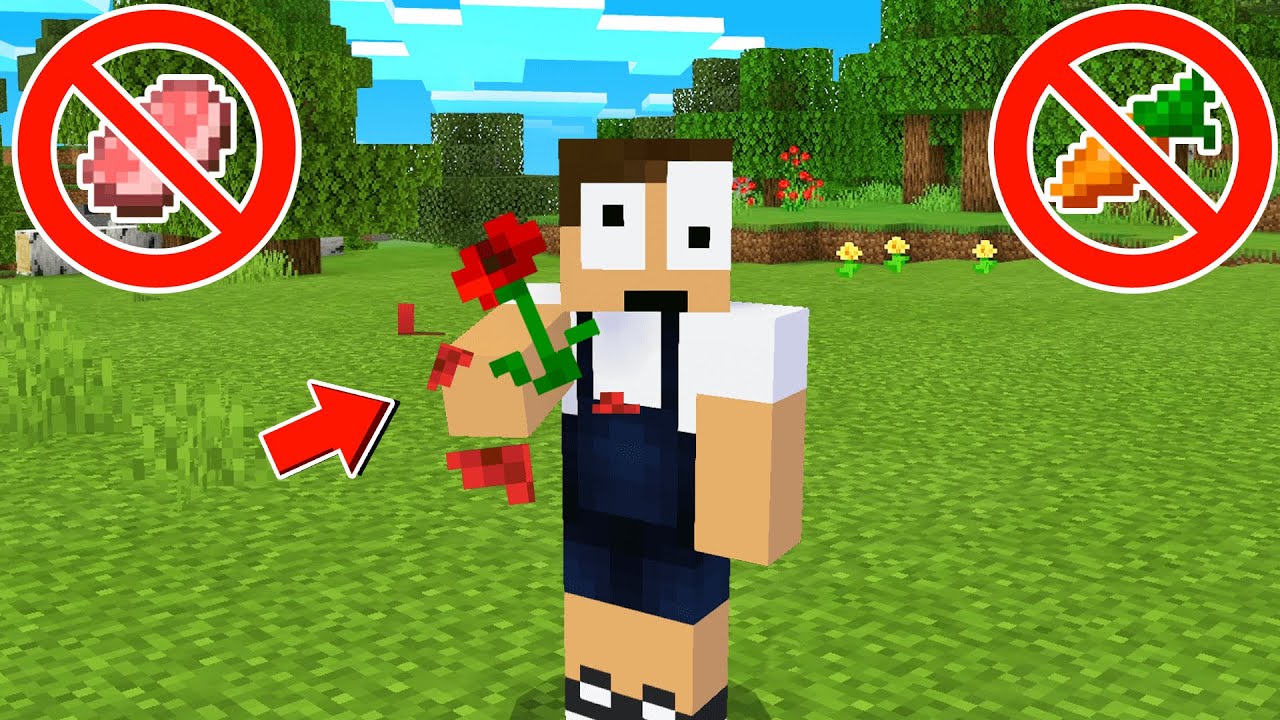 花しか食べれないマインクラフトでサバイバル まいくら マインクラフト Youtube