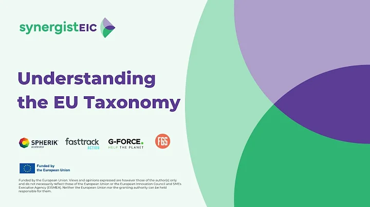 Understanding the EU Taxonomy
