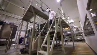 Planta Procesadora De Quinua Xpodeka - Agriprocess