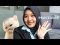 Capek Ngetik Query Terus? Ini Solusinya! | Procedure PL/SQL