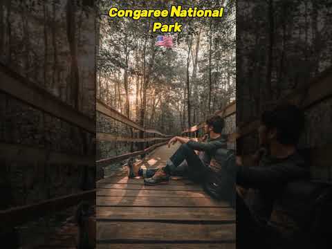 Video: Dienvidkarolīnas Congaree nacionālais parks