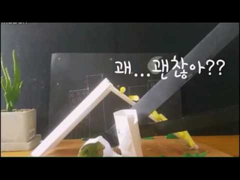 오현초등학교 5학년 4반 2모둠 '미끄럼틀'