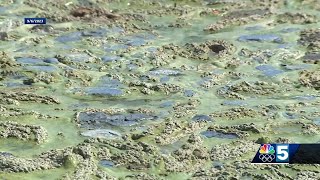 Aeration system at Lake Carmi being removed after found to worsen cyanobacteria blooms