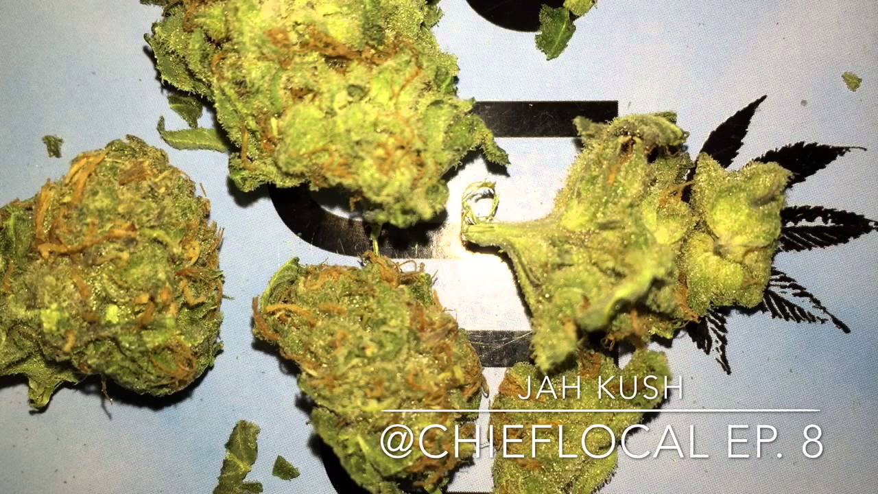 JAH KUSH STRAIN REVIEW YouTube