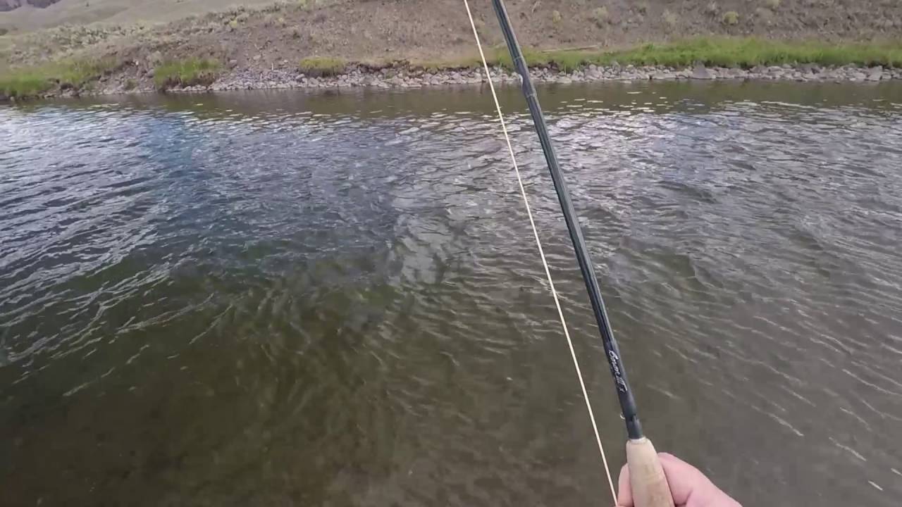 Lamar River - Video Fishing Report 