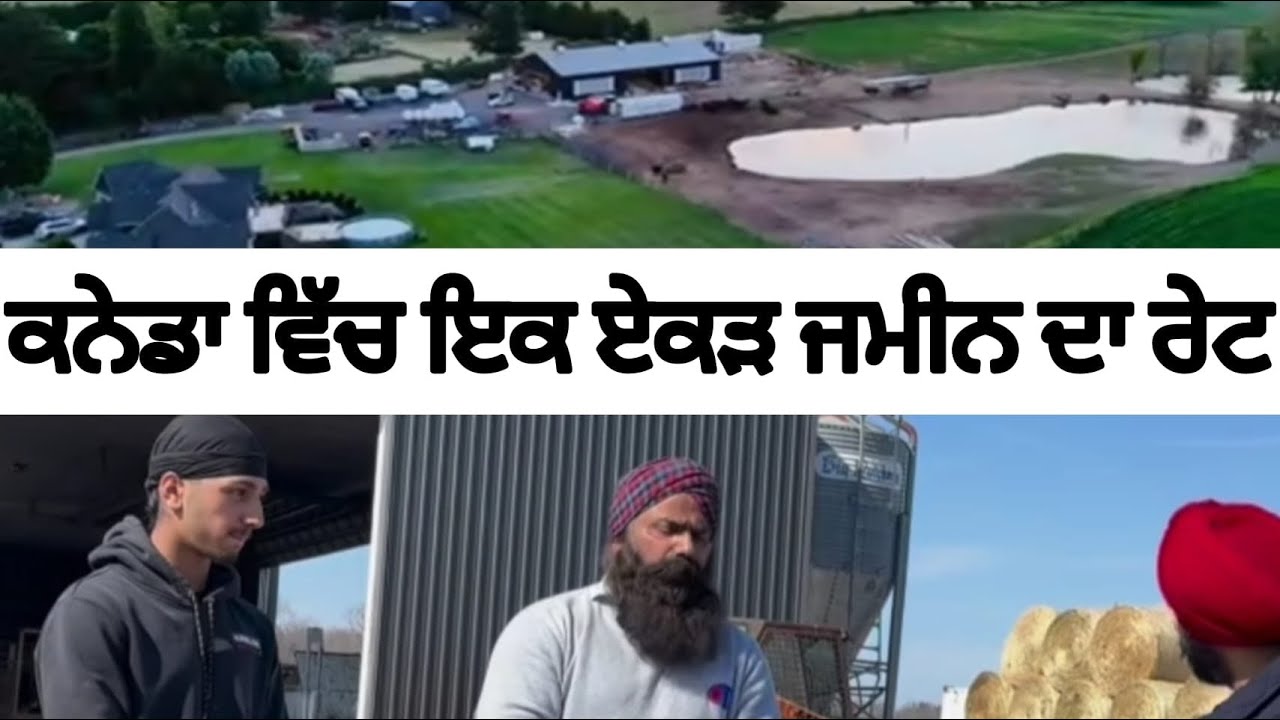 Canada ਦਾ ਪੰਜਾਬੀ ਕਿਸਾਨ , ਜਿੰਨੇ ਰੱਖੀਆਂ ਮੱਝਾਂ, 500 ਕਿੱਲੇ ਦੀ ਕਰਦਾ ਖੇਤੀ , Aujla Farm canada 
