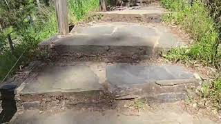 Waterfall Gully Adventure: Hiking to Mount Lofty Summit Through Snake-Like Roads and Scenic Trails