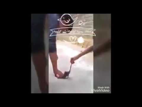 Burning rat alive is inhumane but watch what happened