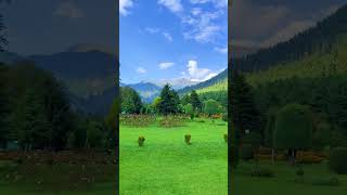 Meri wafa meri kasmu #shorts #virals #naturelovers
