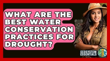 What Are The Best Water Conservation Practices For Drought? - Ecosystem Essentials