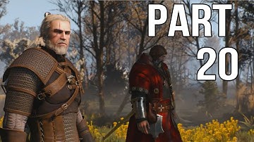 The Witcher 3 Walkthrough Part 20 Gameplay - Family Matters
