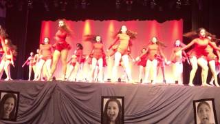 Emotion in Motion - MHS Marquettes Spring Show 2017