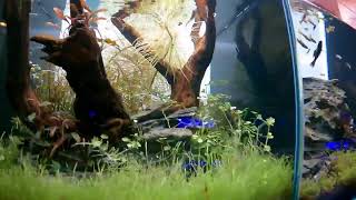 入荷情報の極意