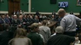 Celebrity VW CEO Tells Lawmakers How Company Cheated Net Worth