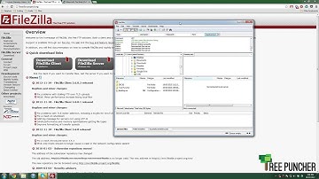 World Management - Tree Puncher Tutorial