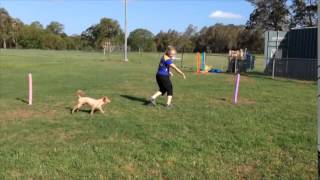 MAC Wk3 Vid 1 PNU work