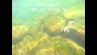 LONGIN(ロンジン)フランキー水中動画 ルアー 釣り シーバス Gopro