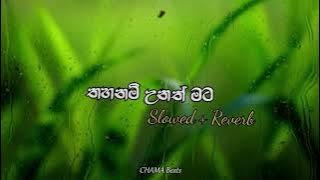 Thahanam Unath Mata (තහනම් උනත් මට) - Ranju Munasingha (Slowed   Reverb) |@CHAMABeats