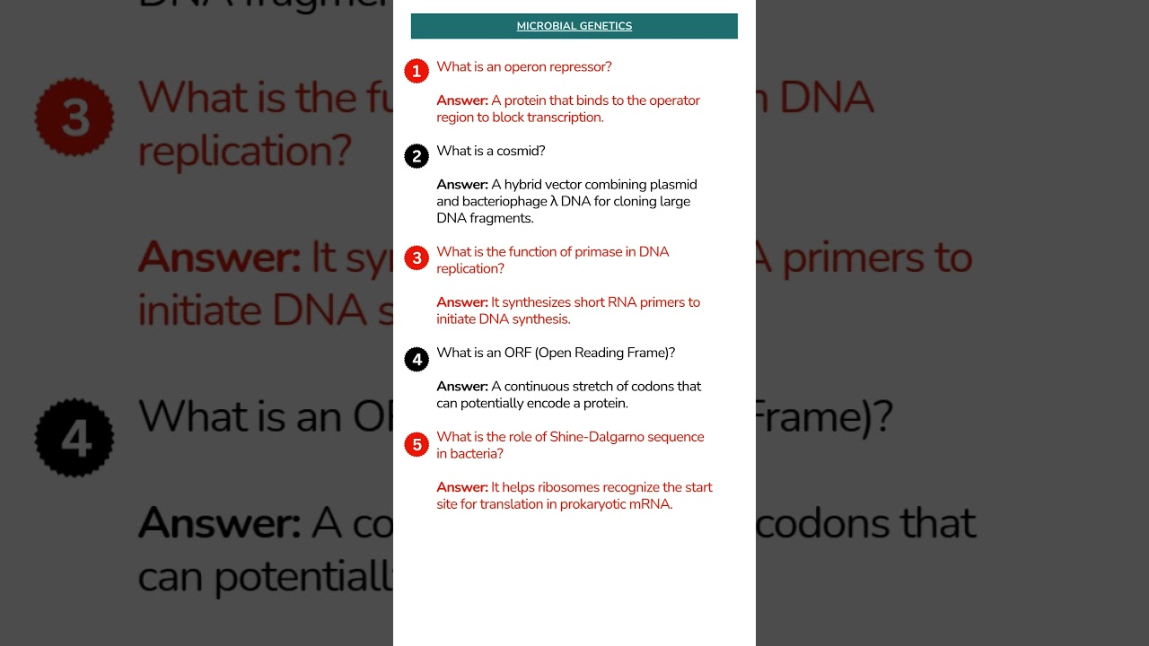 Microbial Genetics #education