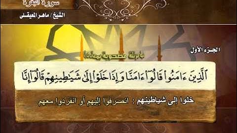 القرآن الكريم - الشيخ ماهر المعيقلي- معاني الكلمات