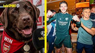 Win the Dog SPILLS SECRETS on Arsenal's Premier League title success