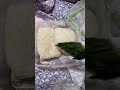 社会人の弁当なんてこんなもん（塩分）