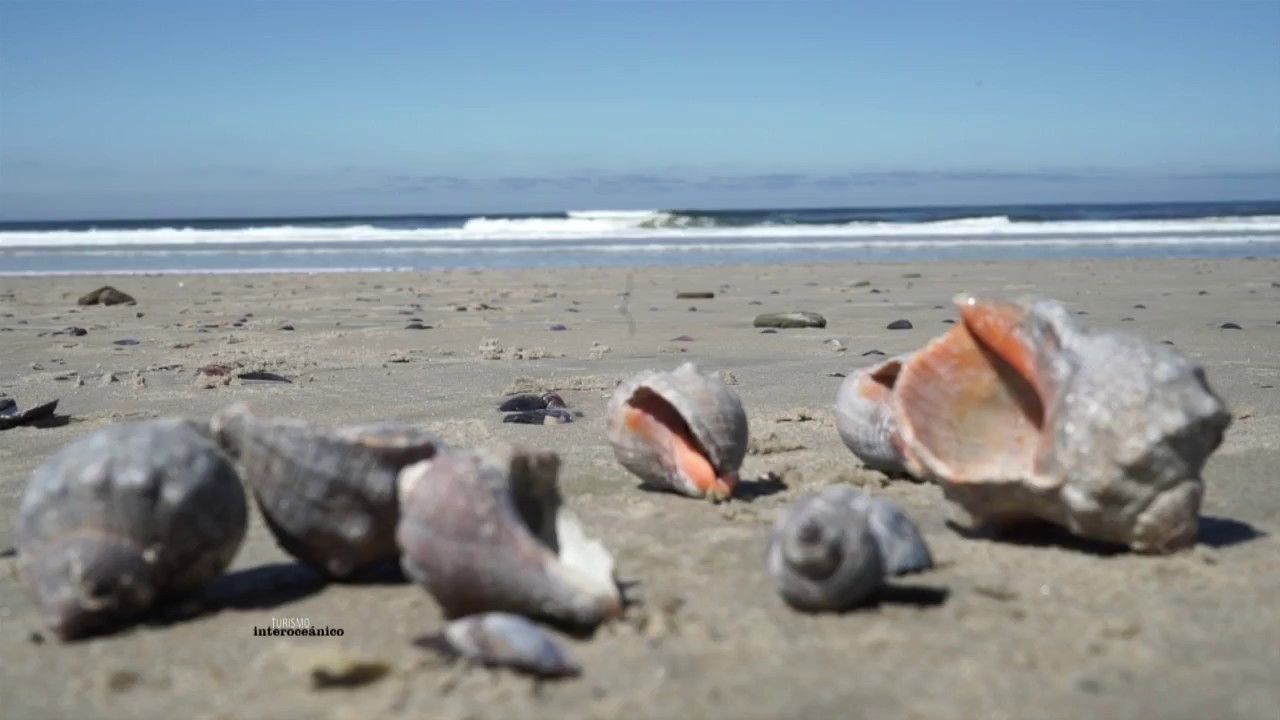La Paloma - Uruguay  - Turismo Interoceánico