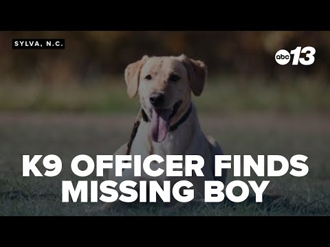 Child with autism found safe by K9 officer