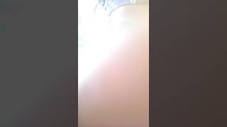 Ash&Dae + Reezy (Trippie Redd love scar 3) Dance video