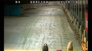Grafton-03102016-Race-4