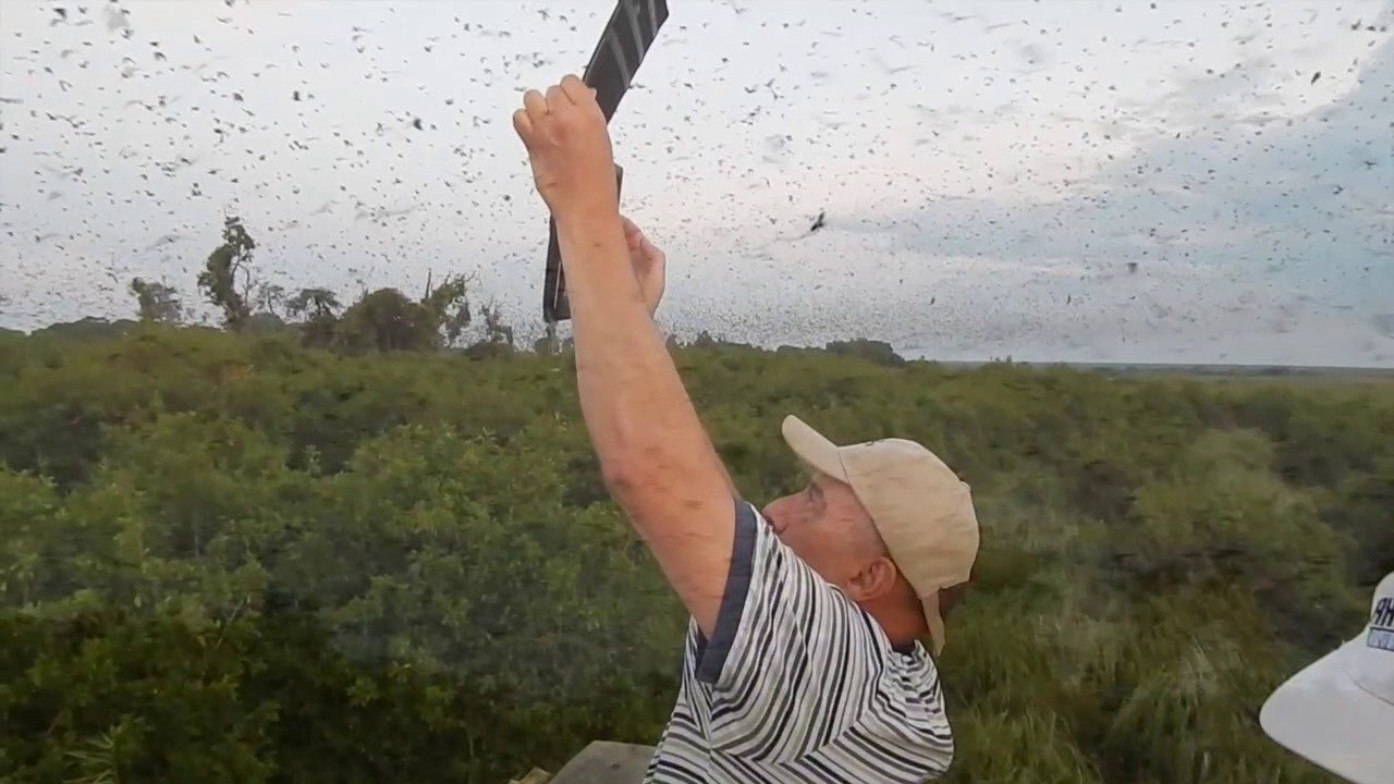 Kasanka National Park