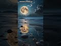 Stunning Moonlit Beach Views 🌕#Moon #BeachVibes #Peaceful #Shorts #StunningViews #NightVibes