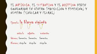 CONCORDANCIA ENTRE ARTÍCULOS,SUSTANTIVOS Y ADJETIVOS