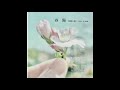 春陽(知覧の桜)
