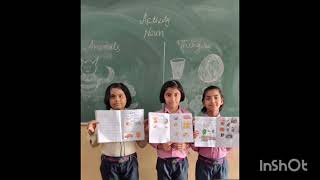 🎯 Noun Activity for Class 3 &amp; 4 🔤 | Fun English Grammar Game | Cosmic World School ✨