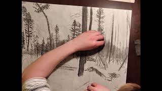 Drawing New Mexico’s Ecosystems: New Mixed Conifer by Southwest EFC 78 views 1 year ago 4 minutes, 23 seconds
