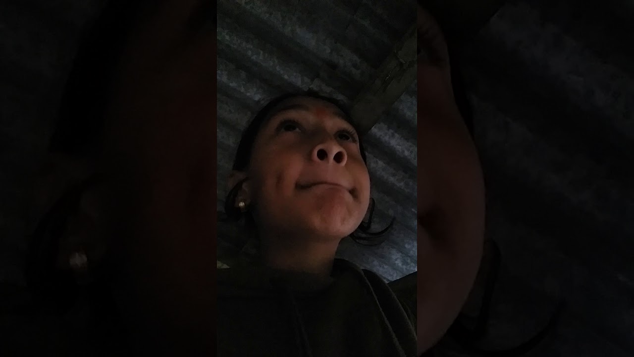 video phone beyonce mp3 Shed