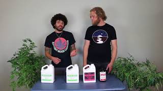 Does It Matter What Order You Mix Nutrients? Why Mix CalMag In First? Tips for Mixing Nutrients