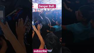 Danger Bull at Expo Center Karachi Cattle show. #foryou #youtubeshorts #dangerbull