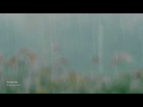 Spring Rain 