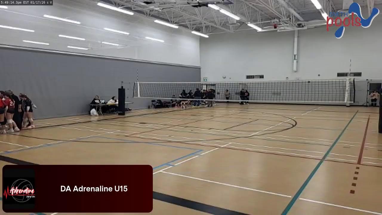 DA Adrenaline (2026.01.17)