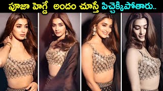 Actress Pooja Hegde Mind Blowing Photoshoot Video Pooja Hegde Looks Gorgeous Silver Screen