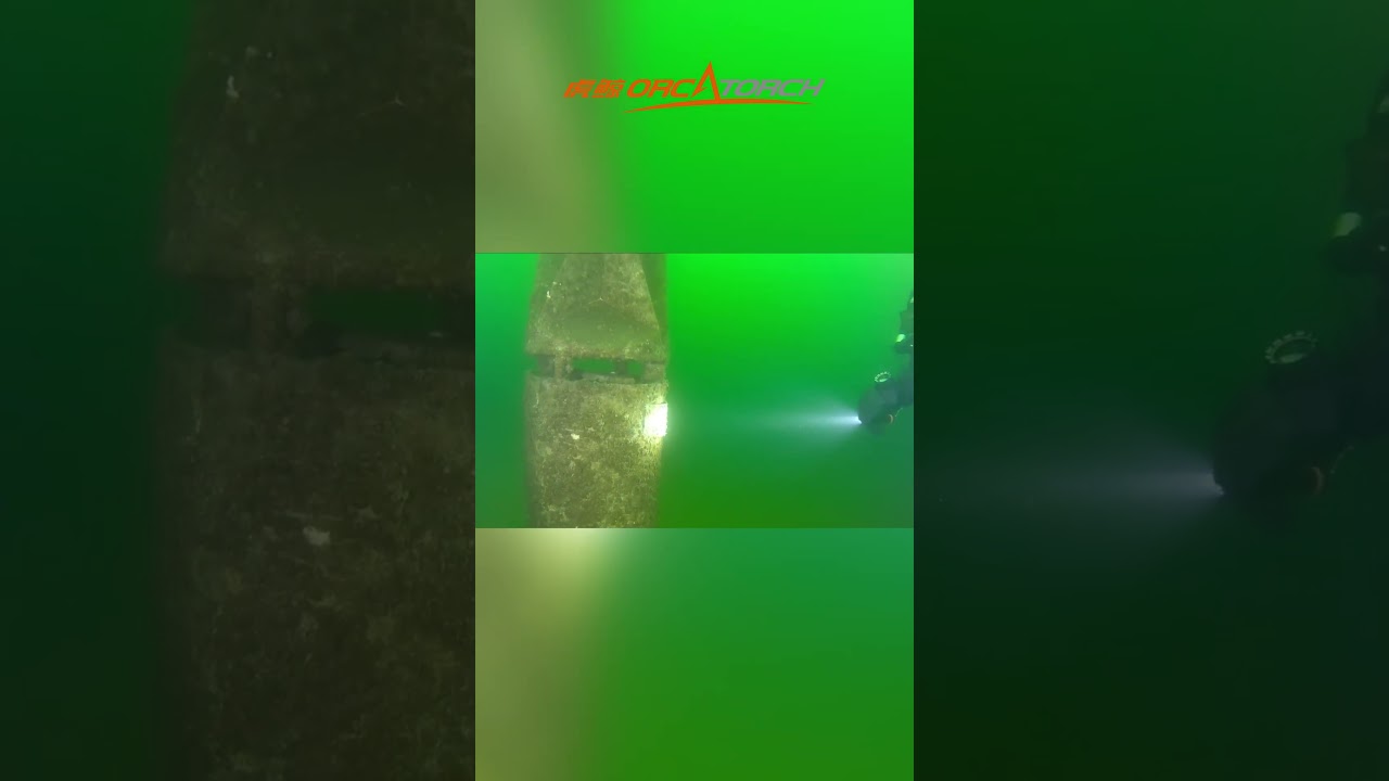 ORCATORCH D511ダイビングライト