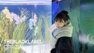 -ˋˏ 누구냐, 넌?ˎˊ- 수속성 냥이의 아쿠아리움 탐방기〰️???? | Say hi to ANNA’s sea friends ???????? | vievv by ANNA