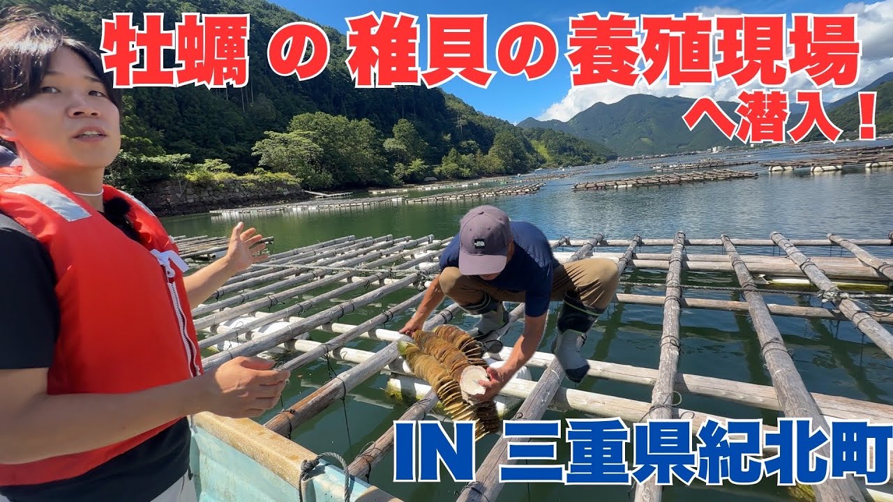 【牡蠣漁師の仕入れ先】牡蠣の稚貝の養殖場に行ってきた