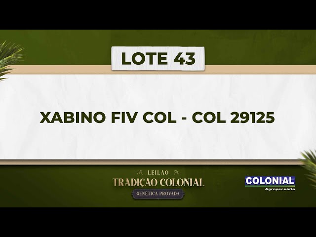 LOTE 43   COL 29125   XABINO FIV COL