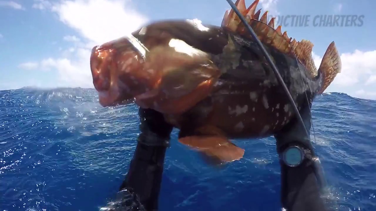 Bahamas Spearfishing with Luke Maillis Long island Bahamas