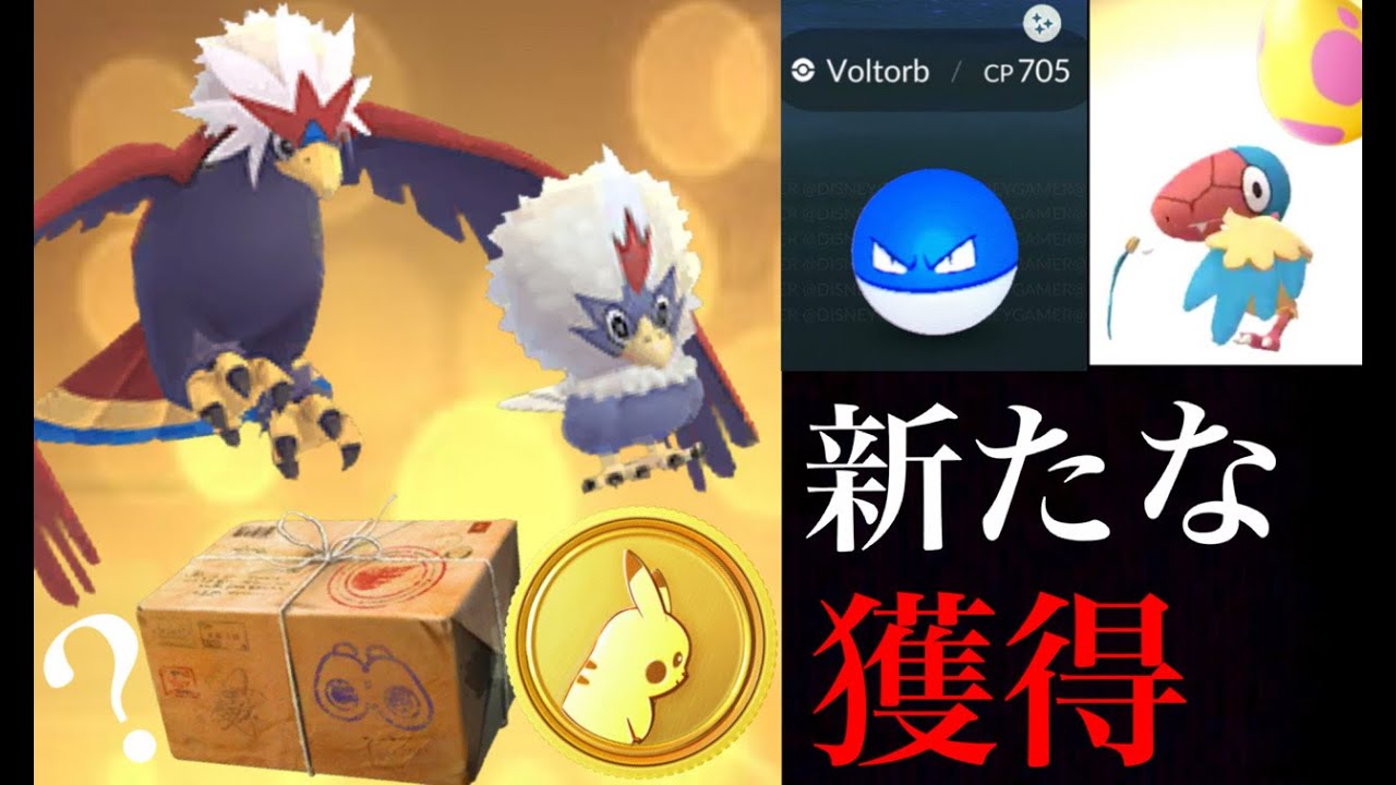 ポケモンgo デイリーリサーチでポケコイン獲得 ワシボンや色違いビリリダマも間もなく実装 ７キロタマゴのアーケンの孵化確率も判明 Pokemon Go Youtube