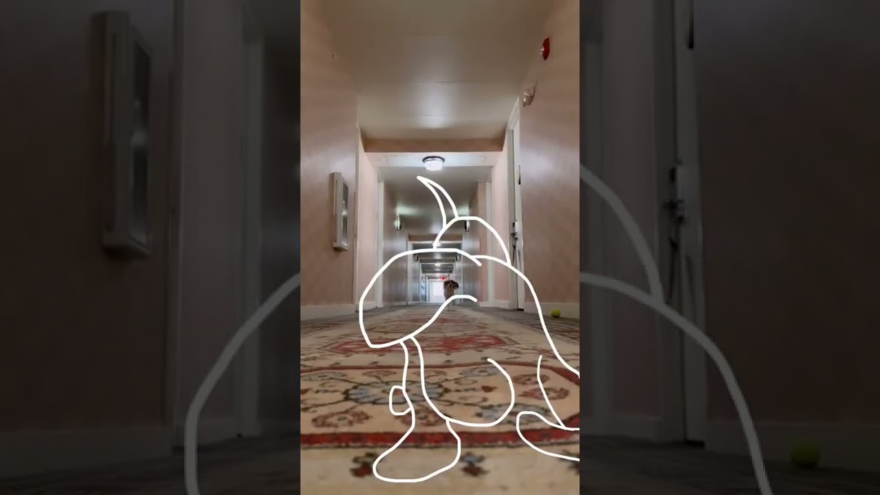 outline challenge 😺